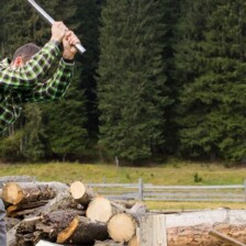Terre à bois et assurances: quoi savoir ? 4 photolotabois