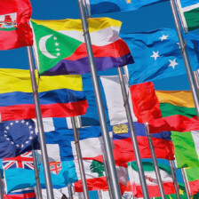 amr articles imigrant permis assurance drapeau
