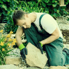 01 amr ass jardinier paysagiste