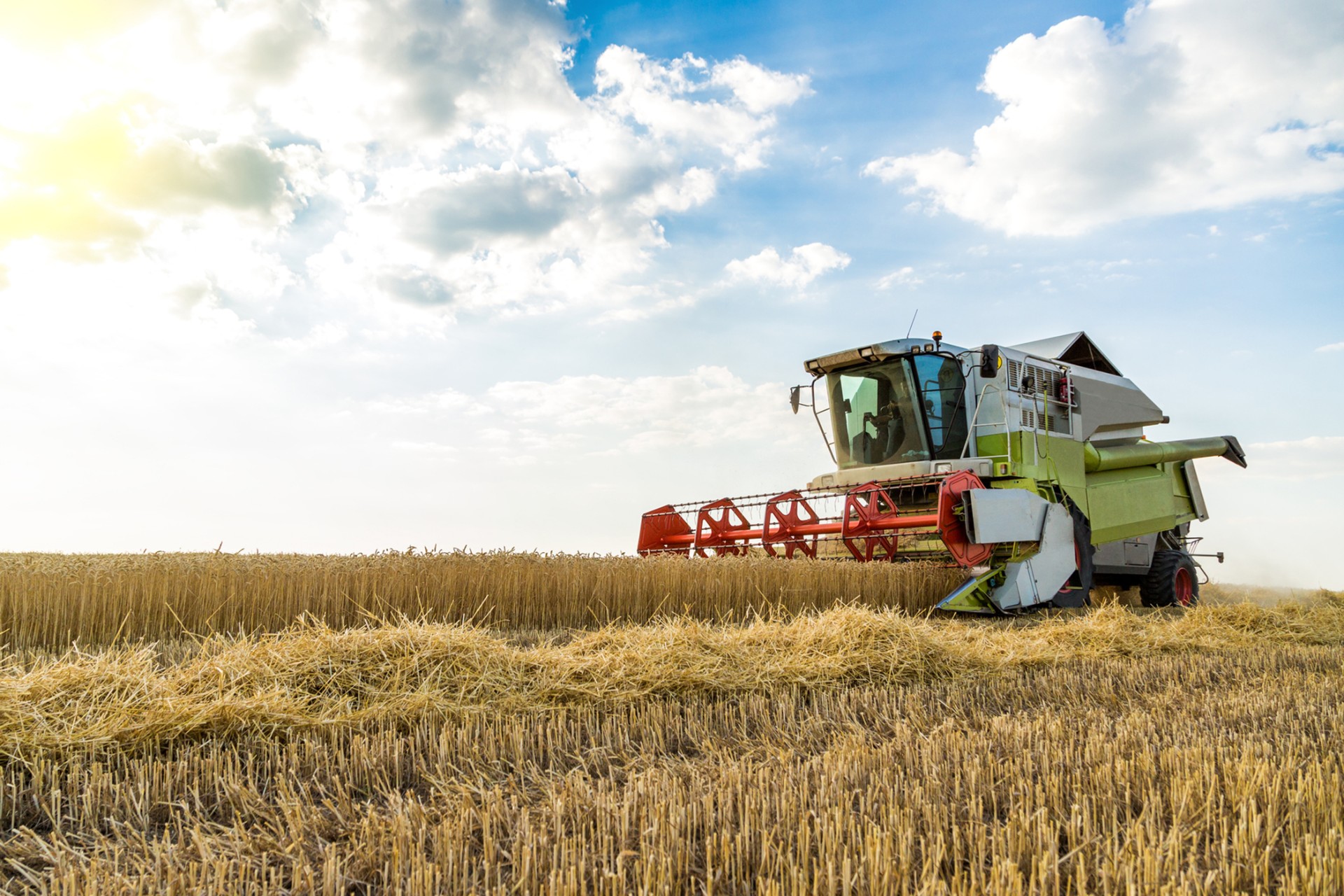 amr assurance agricole 1