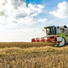 amr assurance agricole 1