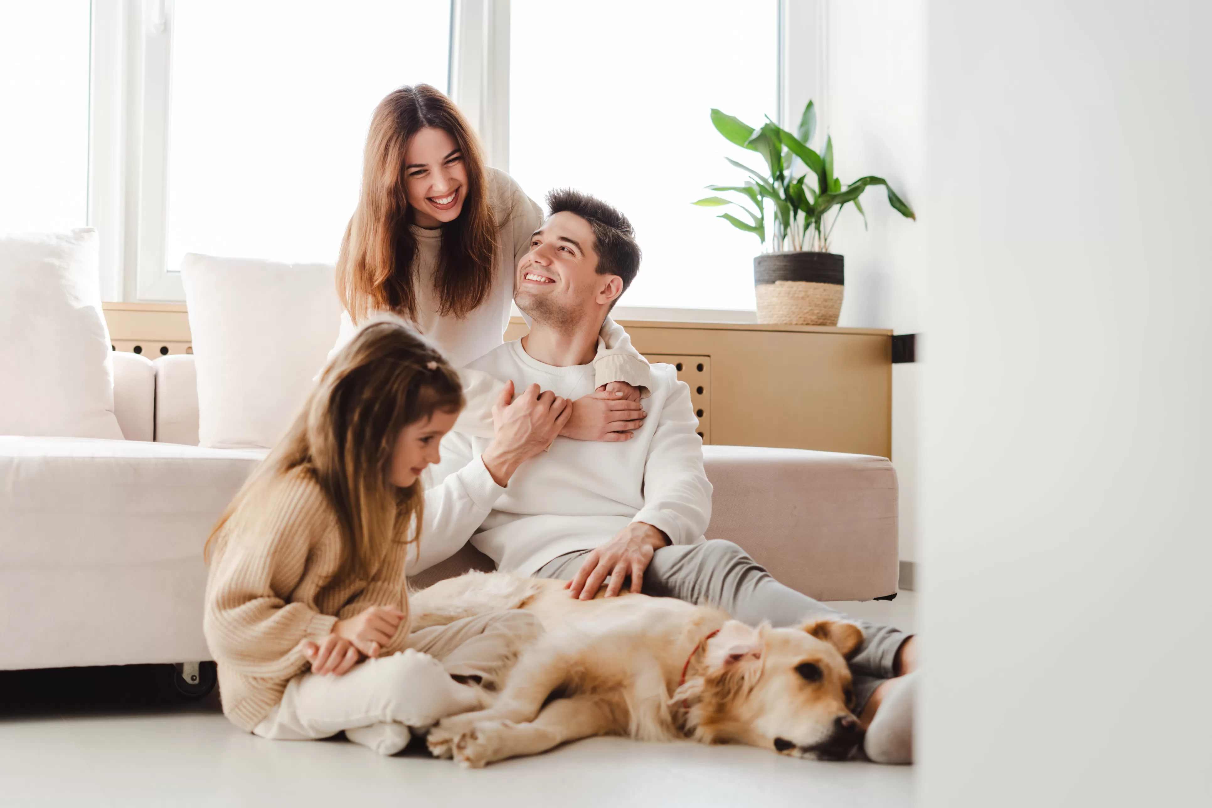 quest ce quune assurance habitation tous risques 2 jpg